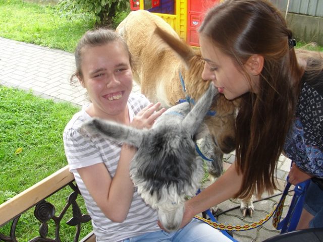 alpaki sierpien 2017 I