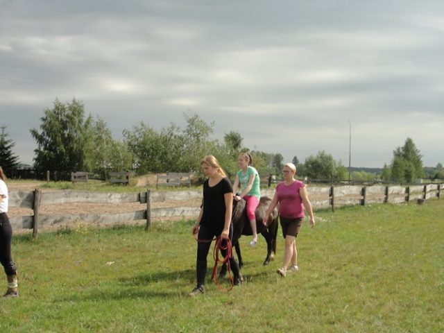 konie sierpień 2017