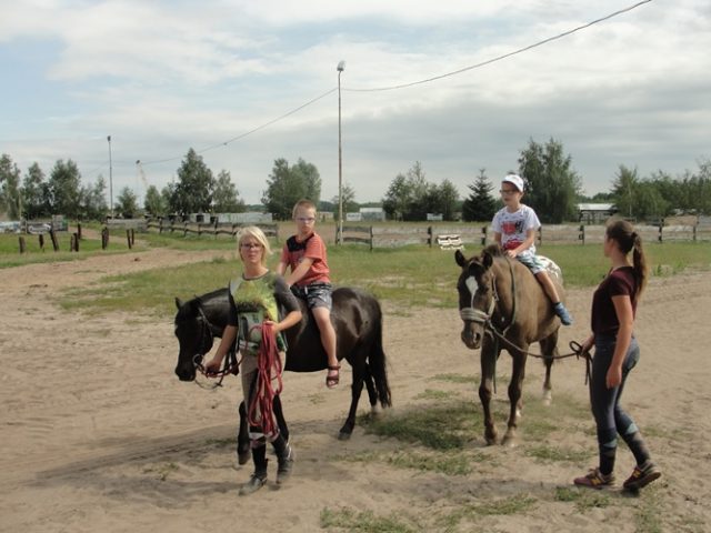 konie sierpień 2017