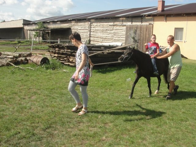 DSC07057 konie