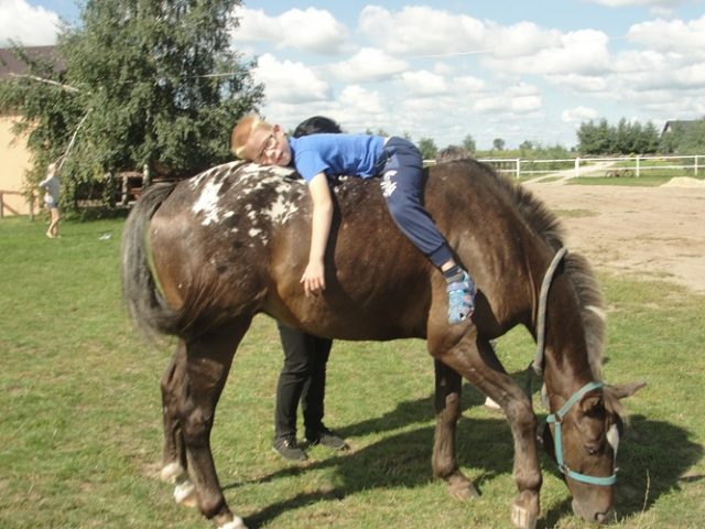DSC07092 konie