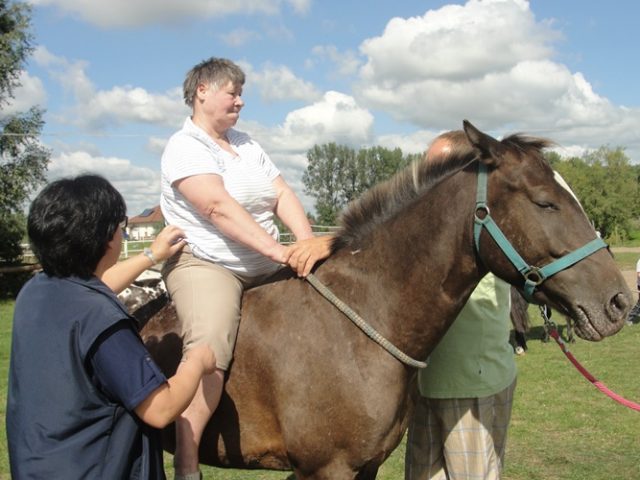 DSC07103 konie