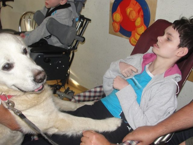 DSC07345 Dogoterapia