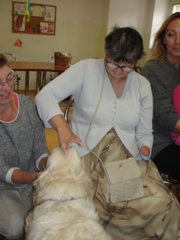 DSC07347 Dogoterapia