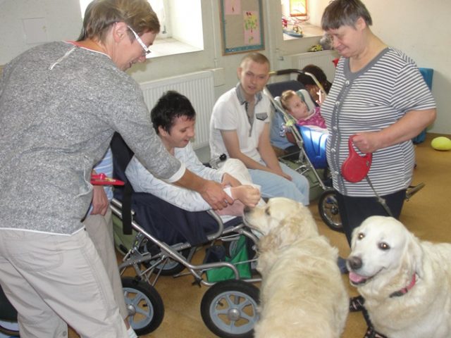 DSC07354 Dogoterapia