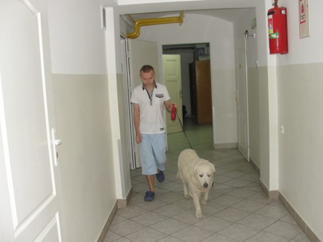 DSC07377 Dogoterapia
