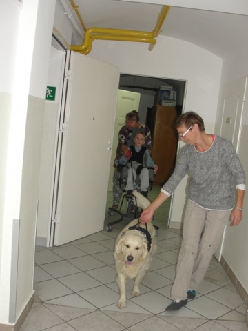 DSC07378 Dogoterapia