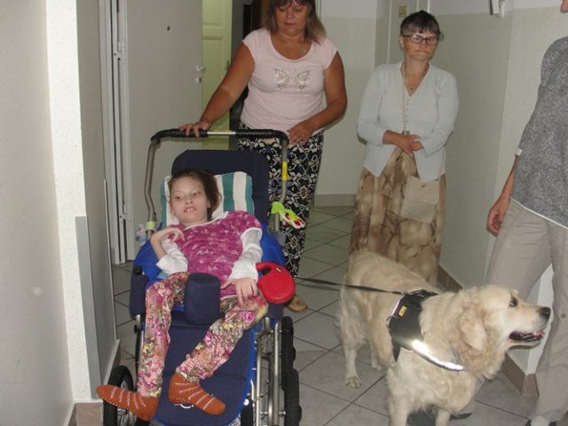 DSC07381 Dogoterapia