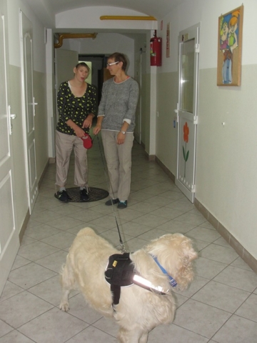 DSC07382 Dogoterapia