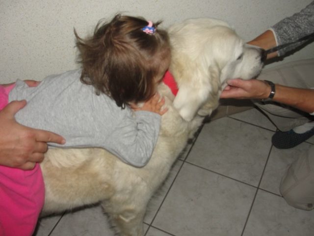 DSC07384 Dogoterapia