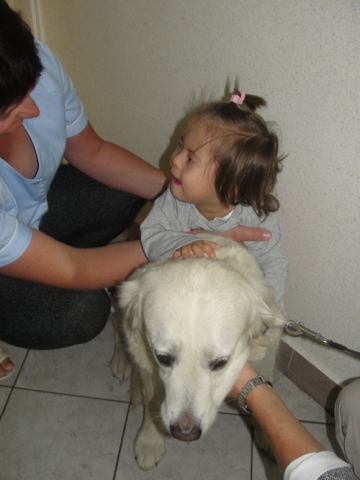 DSC07386 Dogoterapia