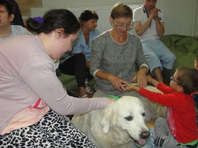 DSC07402 Dogoterapia