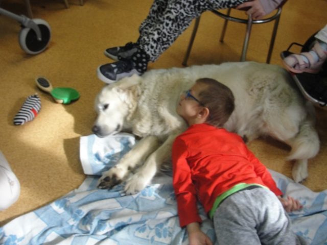 DSC07405 Dogoterapia