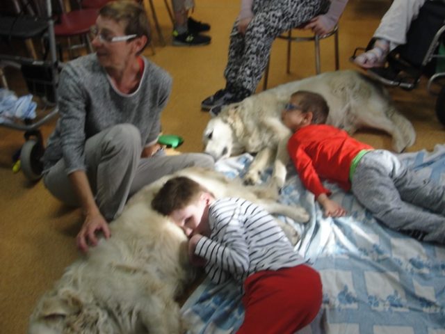 DSC07406 Dogoterapia