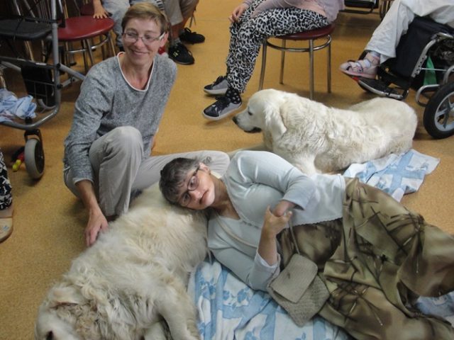 DSC07410 Dogoterapia