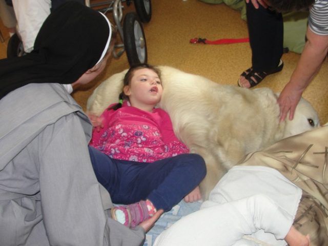 DSC07411 Dogoterapia