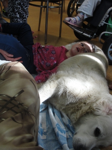 DSC07417 Dogoterapia
