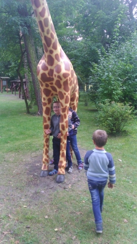Mini Zoo