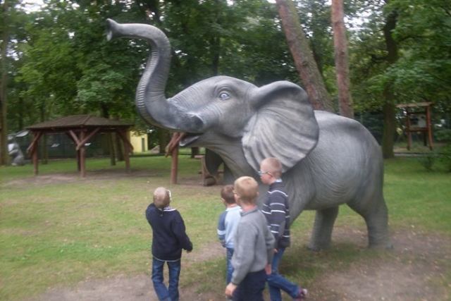 Mini Zoo