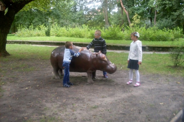 Mini Zoo
