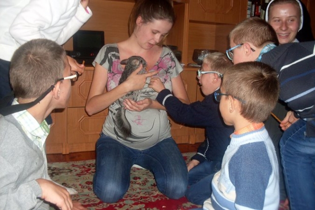 Mini Zoo