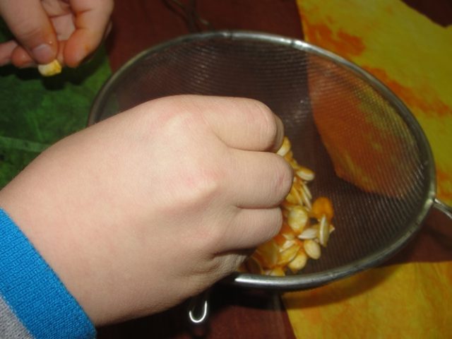 Zabawy dynią