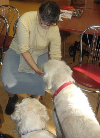 Dogoterapia listopad 2017