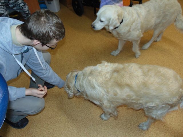 Dogoterapia styczeń 2018