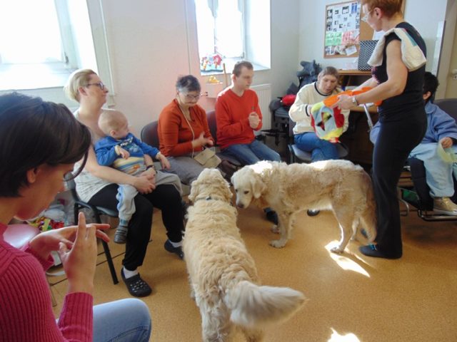Dogoterapia marzec 2018