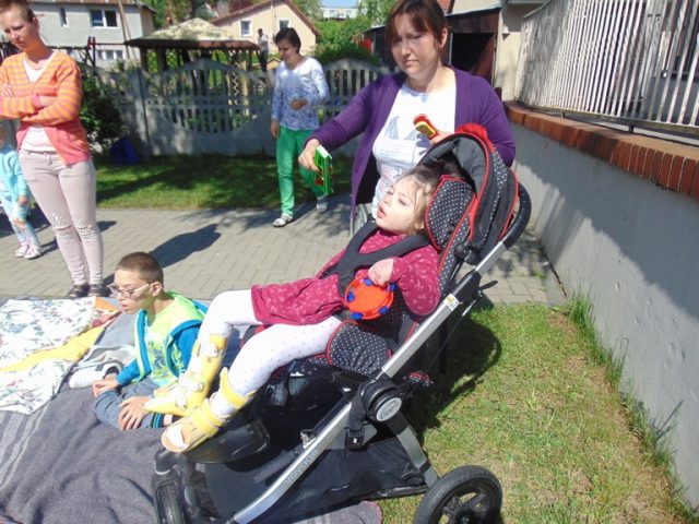 Ogródek warzywny 2018