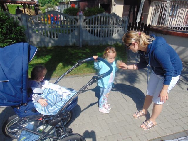 Ogródek warzywny 2018