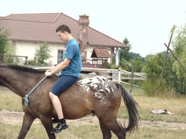 Konie 2018 - 1