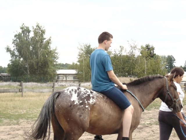 Konie 2018 - 1