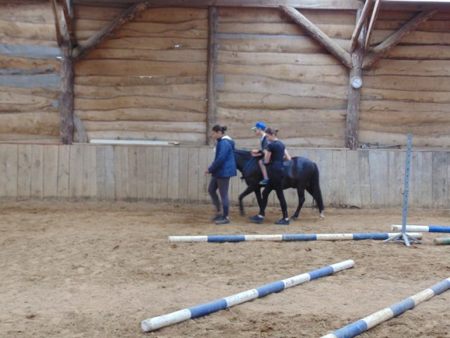 DSC05363 hipoterapia V-2018