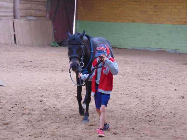 DSC05380 hipoterapia V-2018