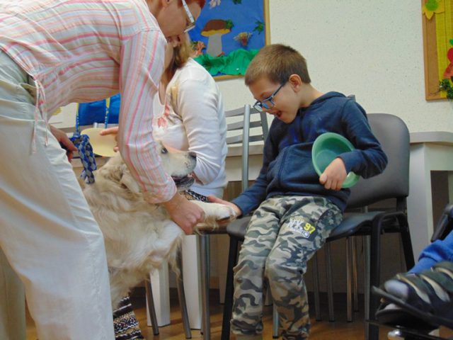dogoterapia