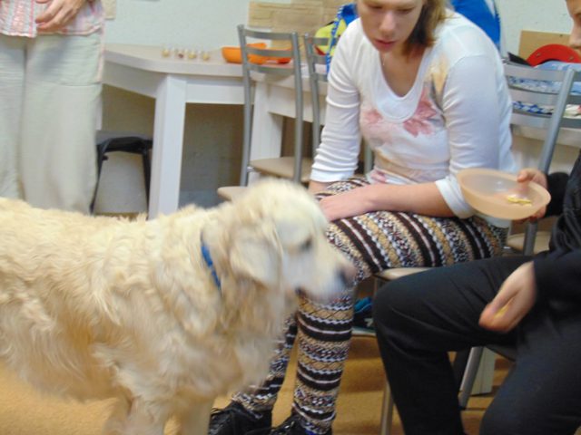 dogoterapia