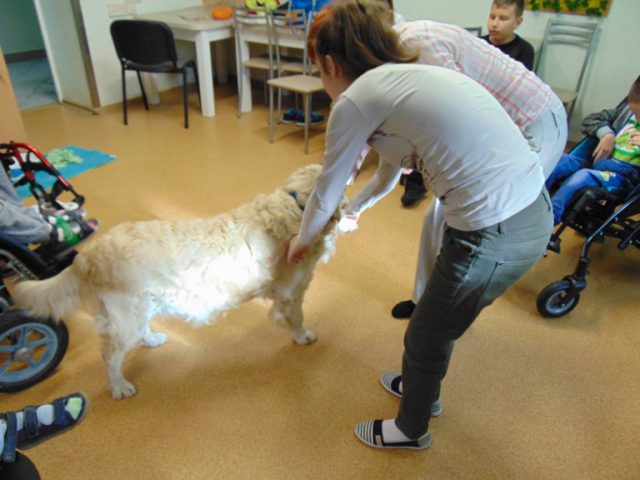 dogoterapia