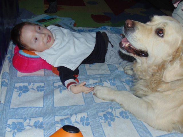 dogoterapia