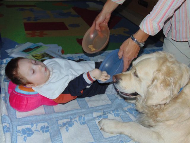dogoterapia