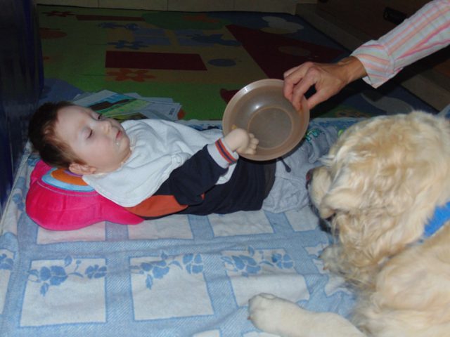dogoterapia