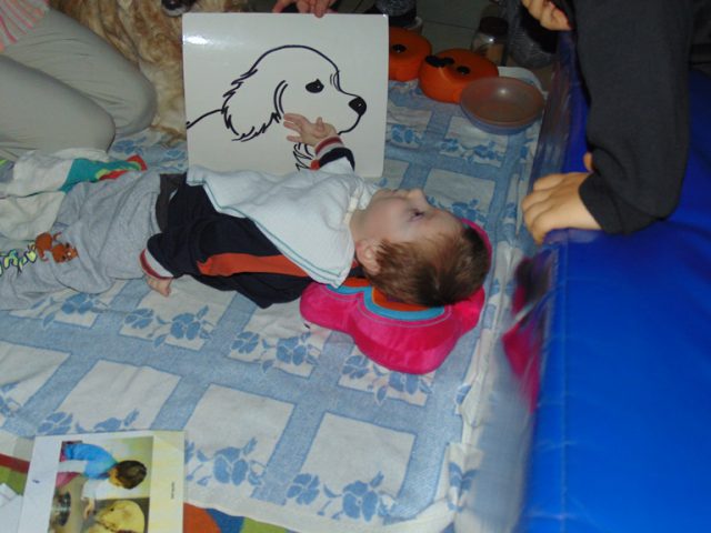 dogoterapia