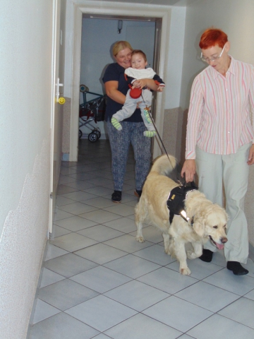 dogoterapia