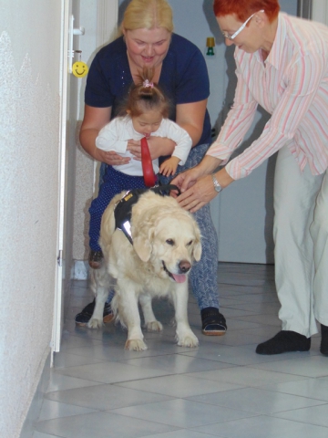 dogoterapia