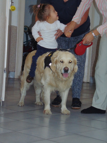 dogoterapia
