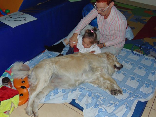dogoterapia