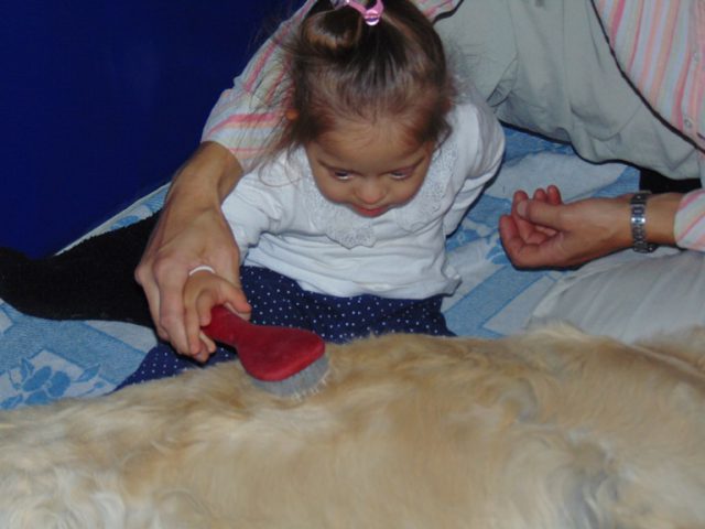 dogoterapia