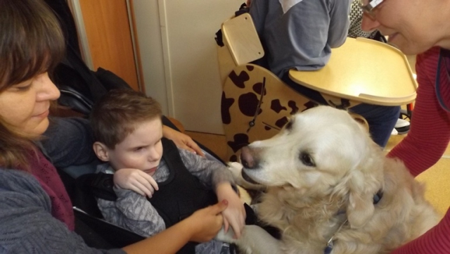 dogoterapia paxdziernik 2018