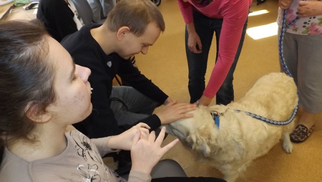 dogoterapia paxdziernik 2018