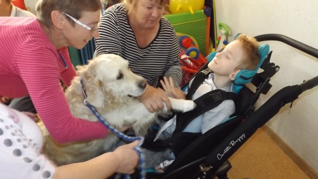 dogoterapia paxdziernik 2018